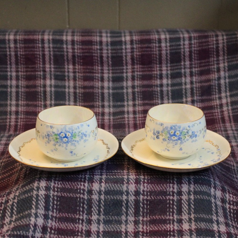Antique Hand-painted J&C Bavaria Blue and White Teacup and Saucer Set of Two